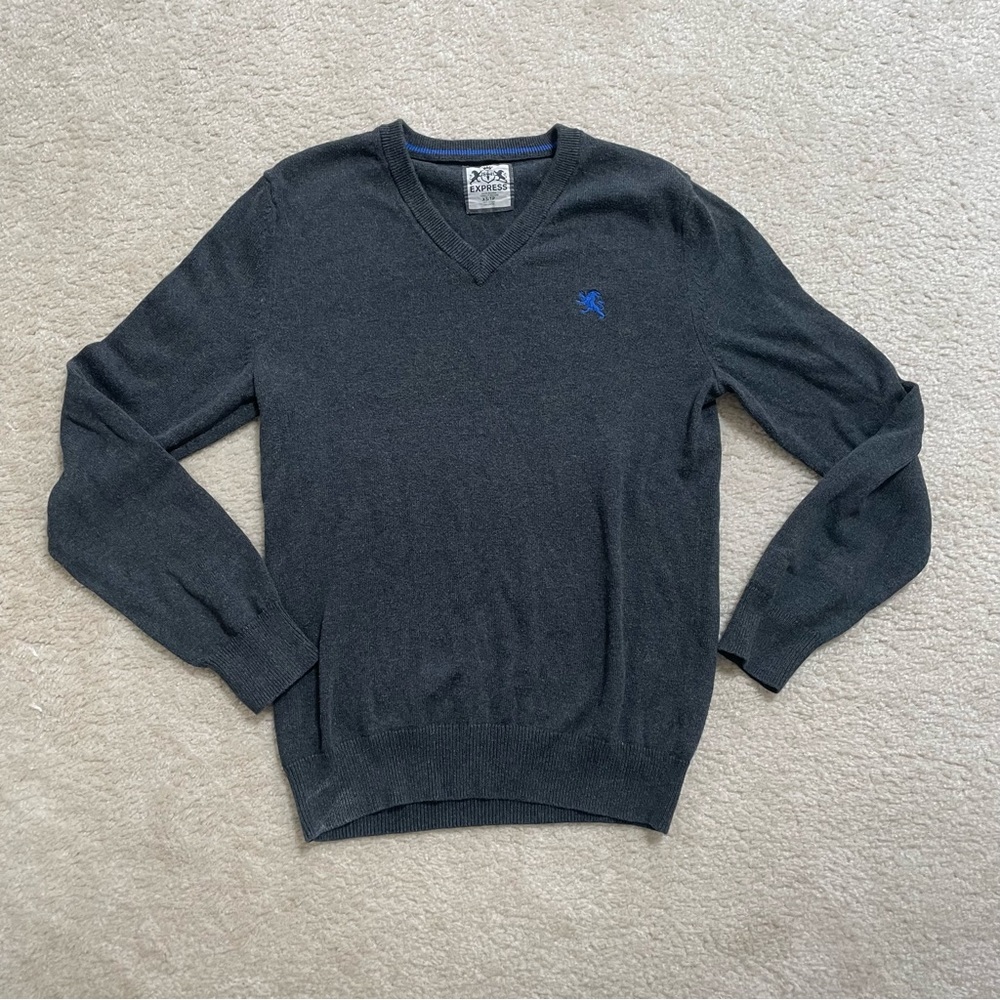 express grey v neck sweater